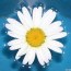 Hanna_25
