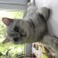 tanusha_08